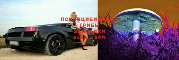 круглые Алексеевка